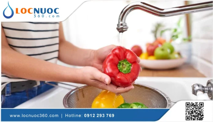 Tìm hiểu đặc điểm các loại nước uống phổ biến hiện nay