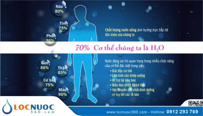 7 Công dụng của việc uống nước tinh khiết đối với cơ thể