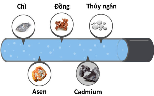 Làm thế nào để loại bỏ kim loại nặng