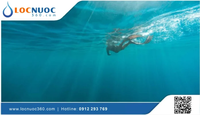 Vai trò của nước trong cuộc sống con người là gì?