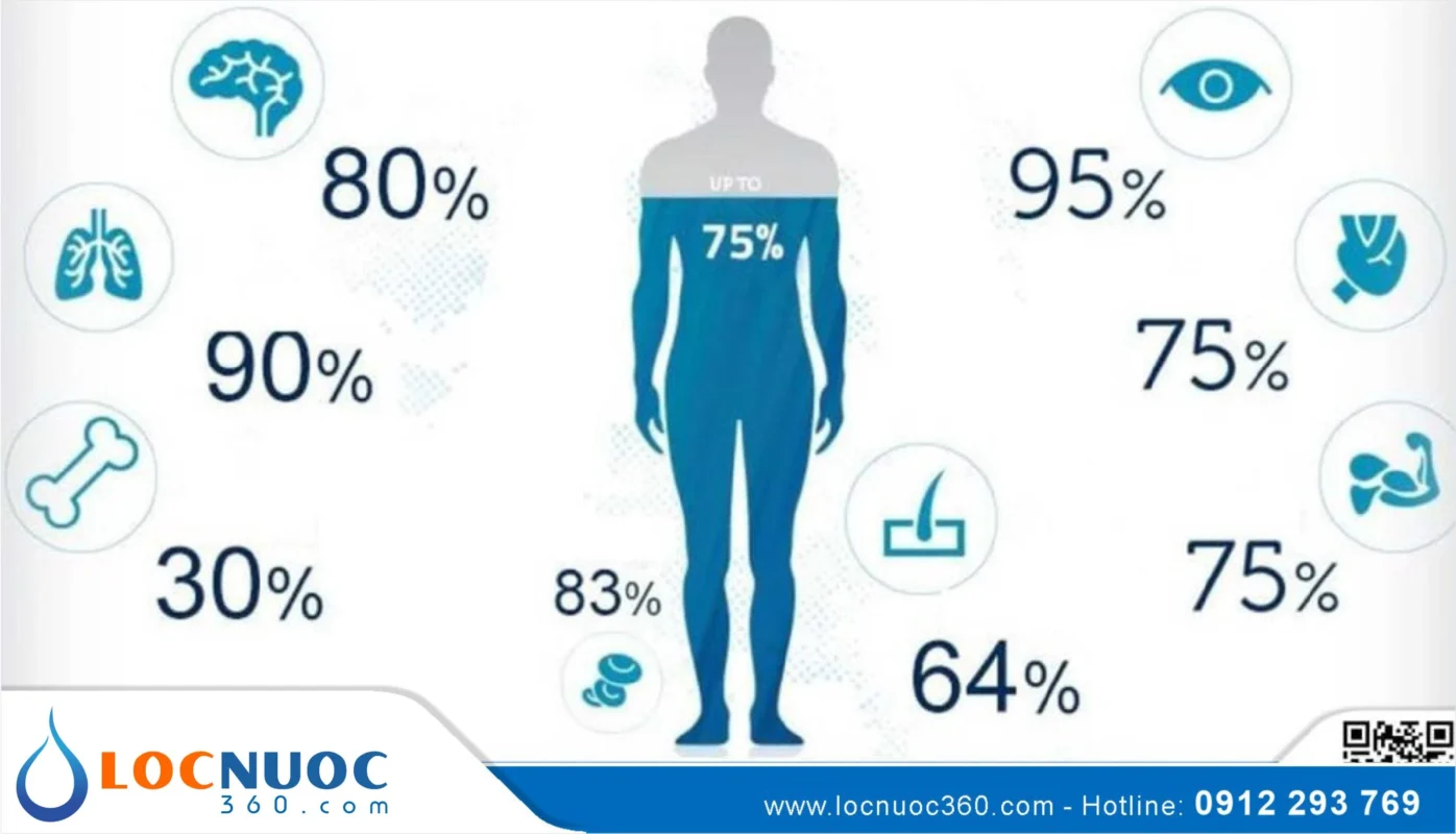 Những điều bạn có thể chưa biết về nước trong cơ thể