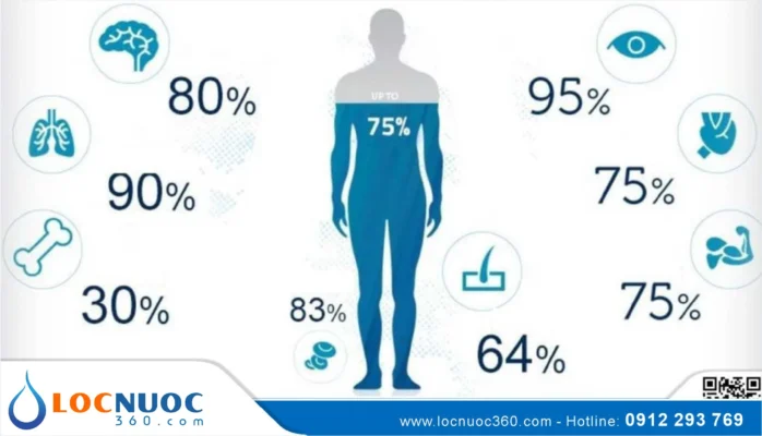 Những điều bạn có thể chưa biết về nước trong cơ thể