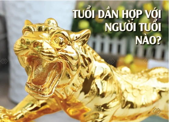 Tuổi Dần tam hợp với tuổi gì? Chi tiết cá tính các tuổi năm Dần