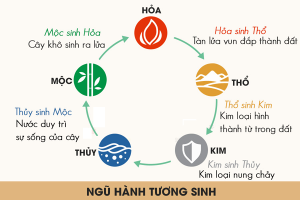 Tương Sinh Là Gì? Ứng Dụng Ngũ Hành Tương Sinh Thiết Kế Nhà