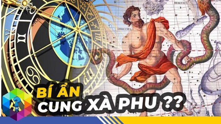 Cung Xà Phu là gì? Giải mã tất tần tật về cung Xà Phu bạn cần biết