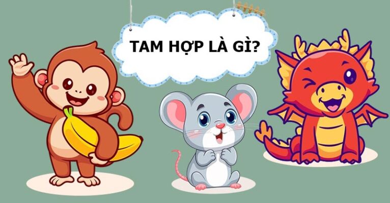 Tam hợp là gì? Giải đáp về Tam hợp và Tứ hành xung trong phong thủy