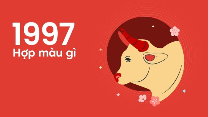 Sinh năm 1997 hợp màu gì? Gợi ý màu sắc phù hợp, mang lại may mắn