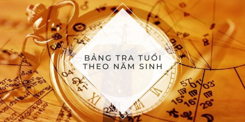 Tra cứu Con giáp theo năm sinh: Cách tính tuổi Can Chi Ngũ Hành đơn giản