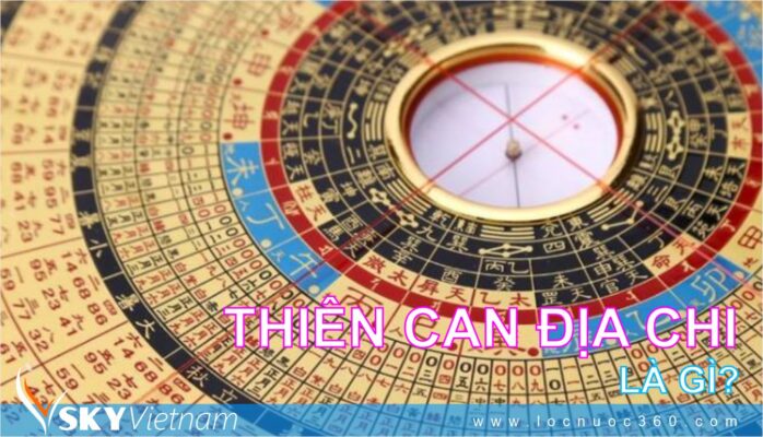 Thiên can Địa chi là gì? Hướng dẫn tính Thiên can Địa chi trên bàn tay