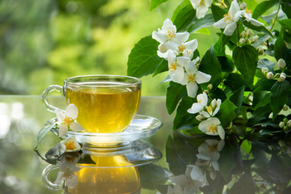 tác dụng của Trà hoa nhài