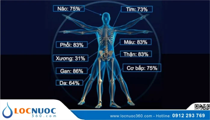 Vai trò của nước đối với cơ thể con người & sự sống