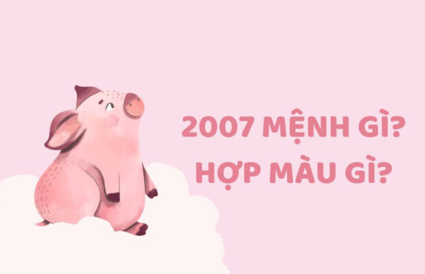 Sinh năm 2007 mệnh gì? Hợp và kỵ với tuổi nào, màu nào?