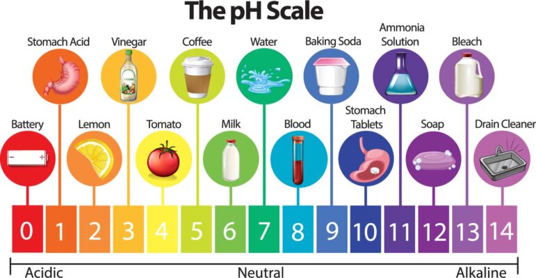 Dải độ pH tính axit có thể tiêu diệt các sinh vật