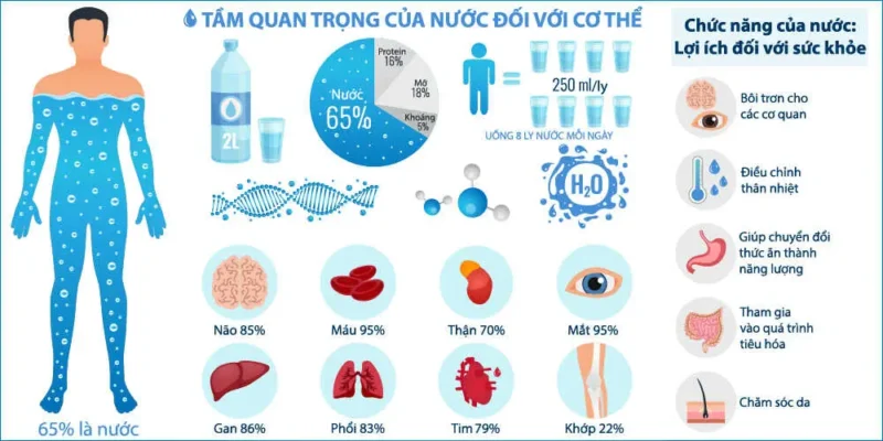 Mỗi liên hệ giữa nước điện giải ion Kiềm và Sức khỏe