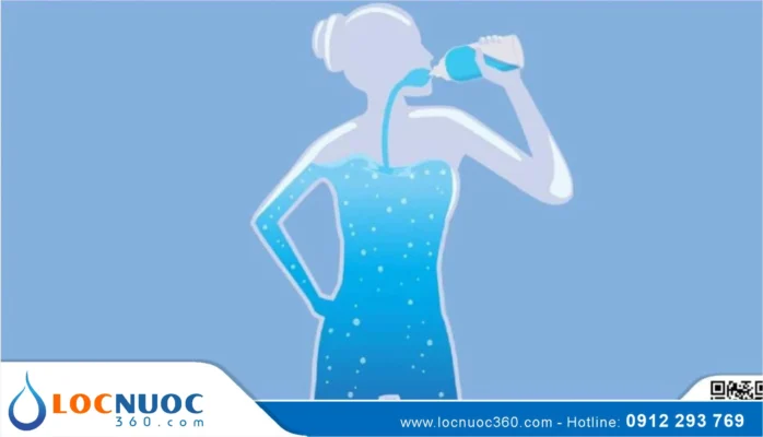 Tìm hiểu hành trình của nước sau khi uống trong cơ thể bạn