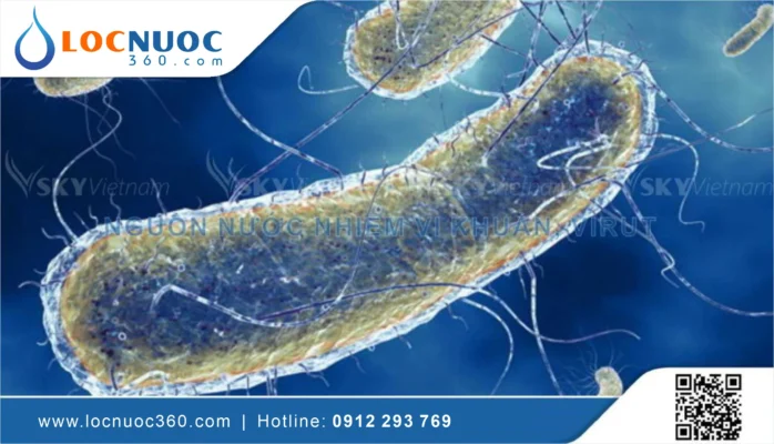 Vi khuẩn Coliform trong nước có hại không và xử lý nó như thế nào?