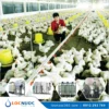 Thiết bị làm mềm nước cho Trang trại chăn nuôi