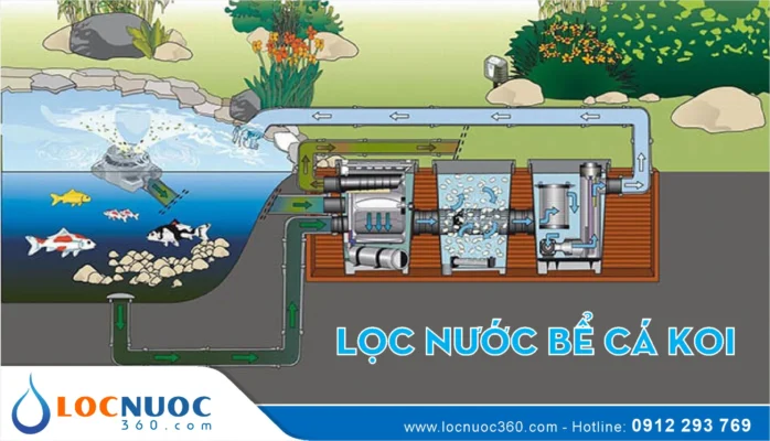 Chi tiết hệ thống và vật liệu lọc nước hồ cá Koi chuẩn nhất 2025