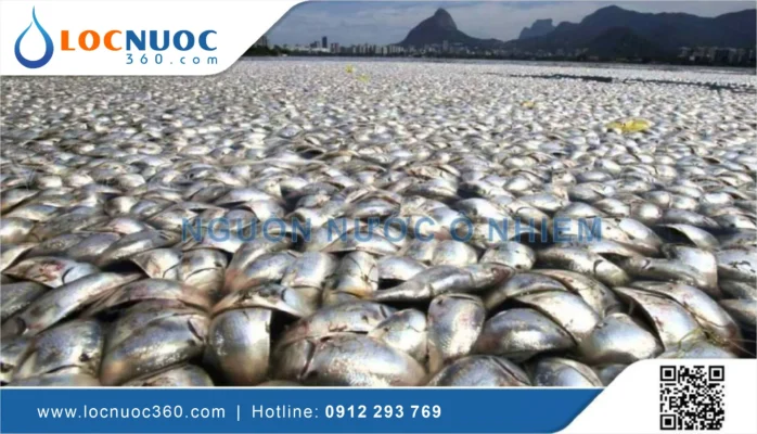 Những con số biết nói về ô nhiễm nguồn nước tại Việt Nam
