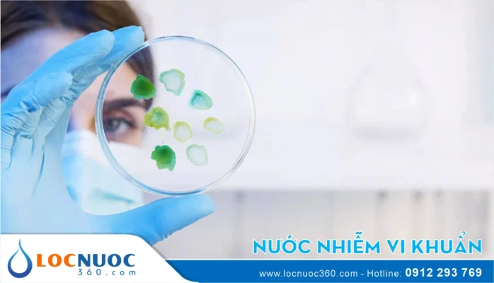 Loại bỏ vi khuẩn Coliform bằng Máy lọc nước Công nghiệp RO