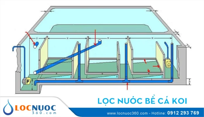 Toàn bộ quá trình thiết kế bộ lọc nước hồ cá Koi đạt chuẩn 2025!