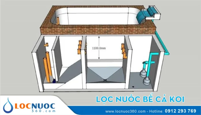 Tại sao hồ cá Koi bị đục? Làm thế nào để khắc phục?