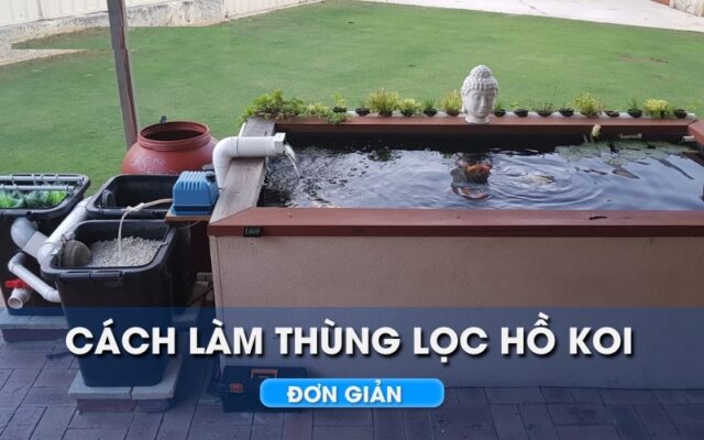 Hướng dẫn tự làm bộ lọc nước hồ cá Koi đơn giản