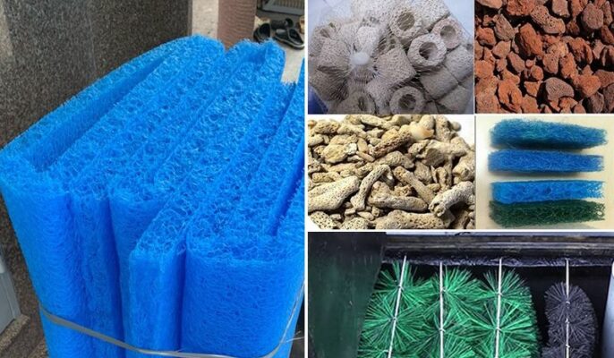 Vật liệu và quá trình lọc thô hồ cá Koi có vai trò gì?