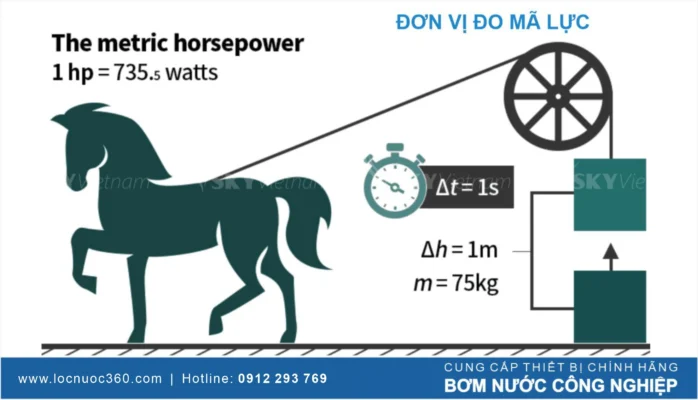 Mã lực là gì? Phân loại mã lực và cách hoạt động của mã lực