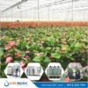 Hệ thống lọc nước tổng 20m3 cho Trang trại Nông nghiệp 9 Hệ thống lọc nước tổng 20m3 cho Trang trại Nông nghiệp
