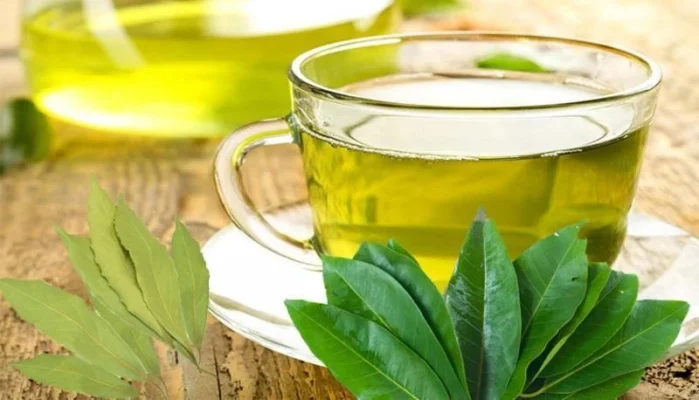 Những công dụng của nước lá vối và cách uống đúng nhất?