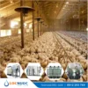 Hệ thống lọc nước tổng 7m3 cho Trang trại Chăn nuôi 9 Hệ thống lọc nước tổng 7m3 cho Trang trại Chăn nuôi