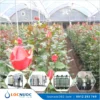 Hệ thống lọc nước tổng 10m3 cho Trang trại Nông nghiệp 8 Hệ thống lọc nước tổng 10m3 cho Trang trại Nông nghiệp