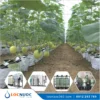 Hệ thống lọc nước tổng 7m3 cho Trang trại Nông nghiệp