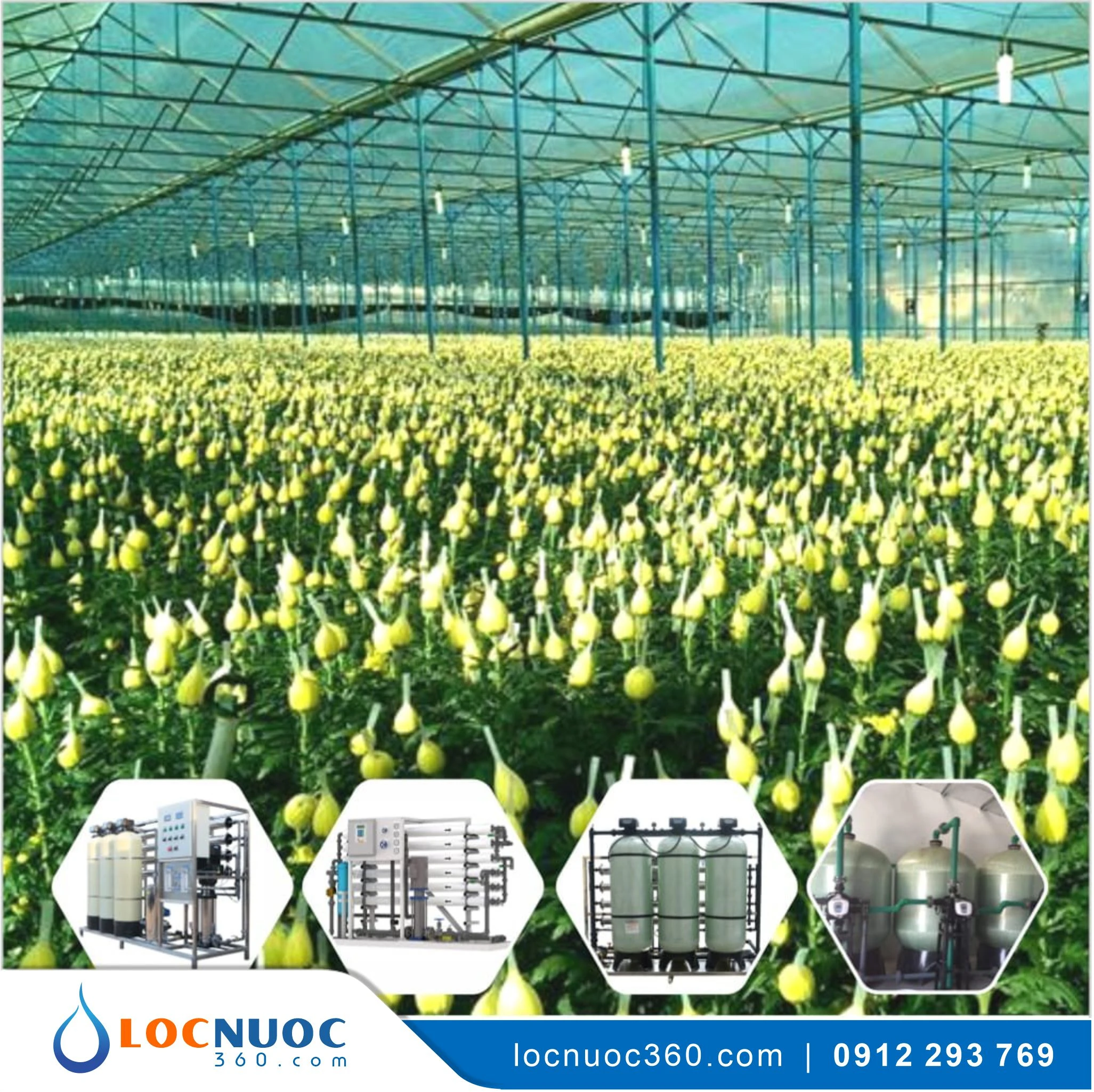 Giải pháp xử lý nước cho sản xuất Nông nghiệp, Chăn nuôi, Trang trại