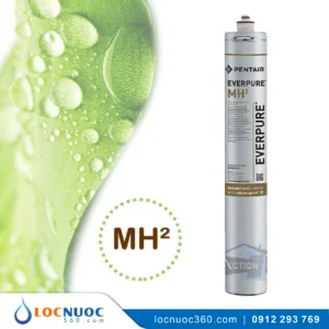 Máy Lọc Nước Pentair Everpure MH2 Cho Máy Pha Café + Cốc Lọc Thô A10
