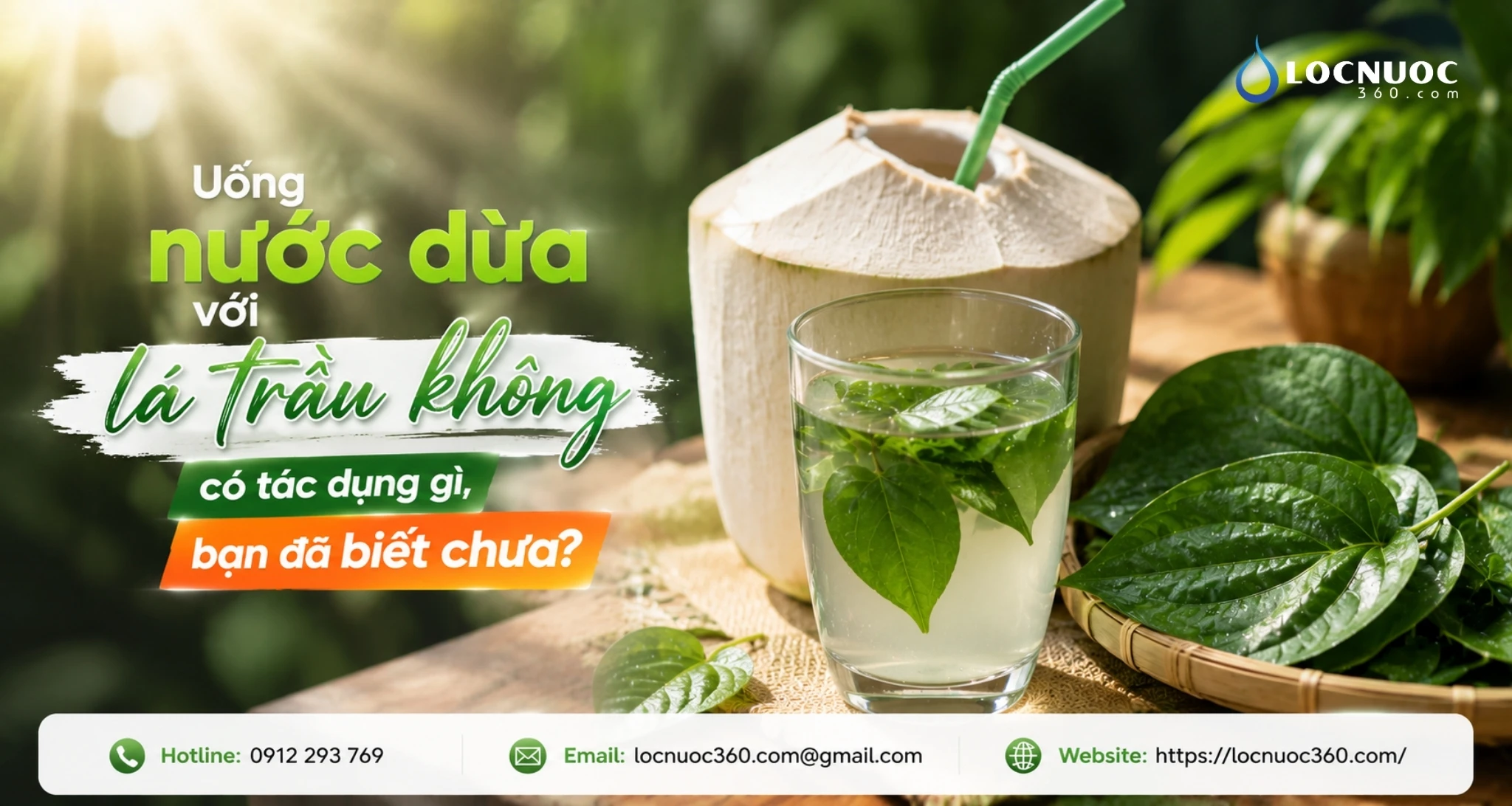 Uống nước dừa với lá trầu không có tác dụng gì, bạn đã biết chưa?